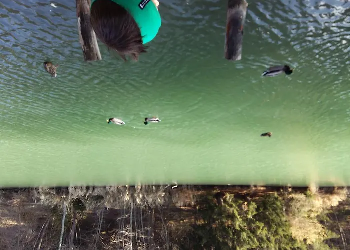 Gschwandthof Отель 3*